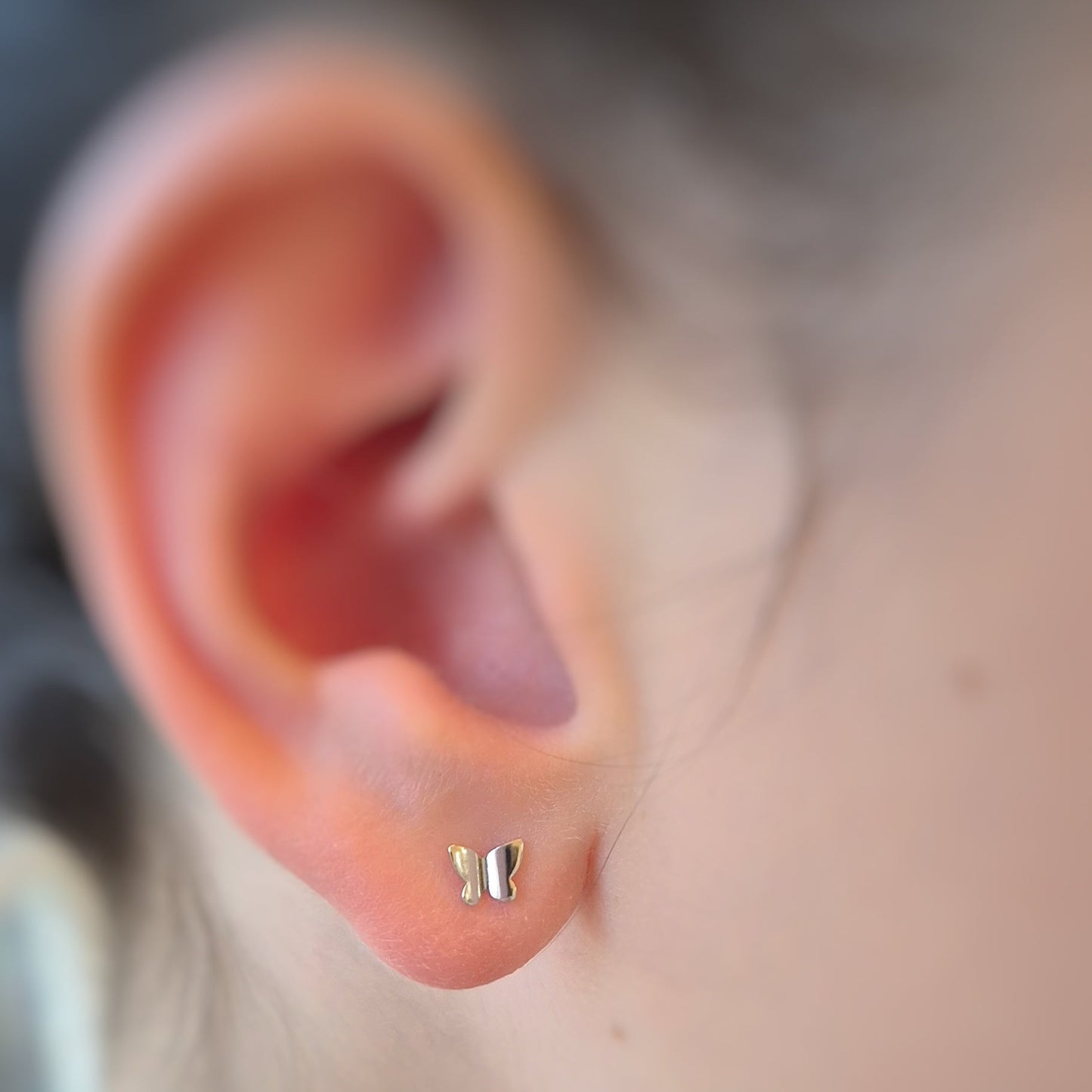 Butterfly Stud Earrings - 925 Sterling Silver